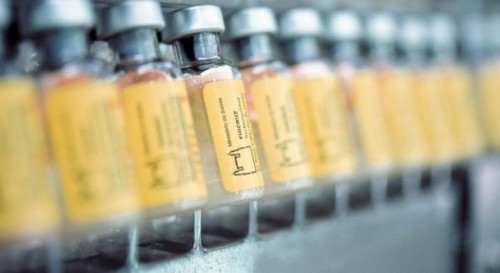 Hemorio - vacinação contra a febre amarela
